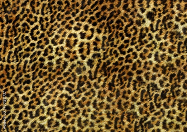Fototapeta leopard skin texture