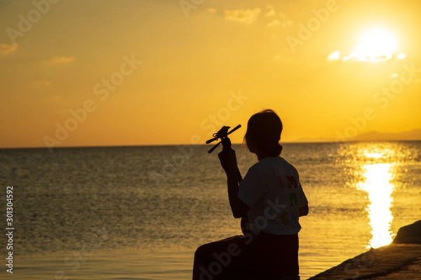 Obraz 綺麗な音色