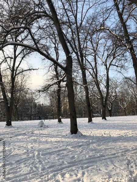 Fototapeta Winter in Graz