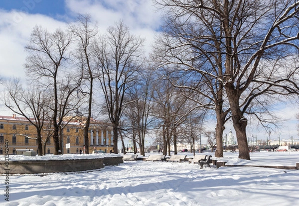 Fototapeta Beautiful winter landscape with snow-white trees, architecture at frosty snow winter day, St Petersburg, Russia.