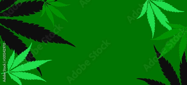 Obraz Green banner with cannabis leaves.