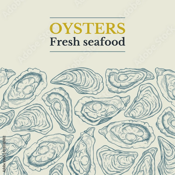 Fototapeta frame template for menu with different oysters. sketch style hand drawn vector illustration isolated on white background