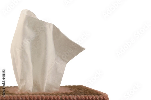 Fototapeta tissue box - white background
