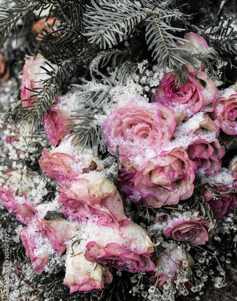 Fototapeta Eisblumenn3