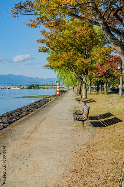 Fototapeta 滋賀　琵琶湖沿いの遊歩道