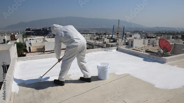 Obraz Roof Coating Installation