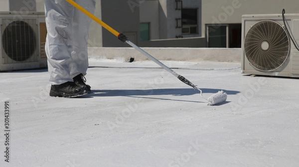 Obraz Roof Coating Installation