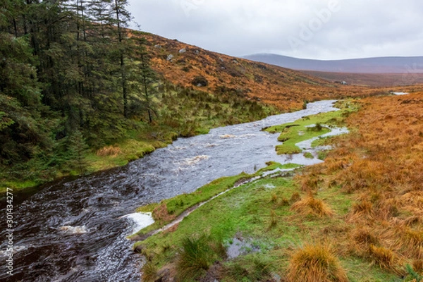 Fototapeta autumn landscape in the Wicklow  mountains
