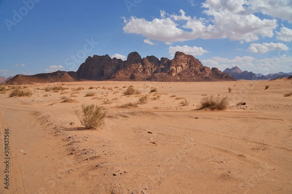 Obraz Tufts of dry grass in Wadi Rum desert, Jordan