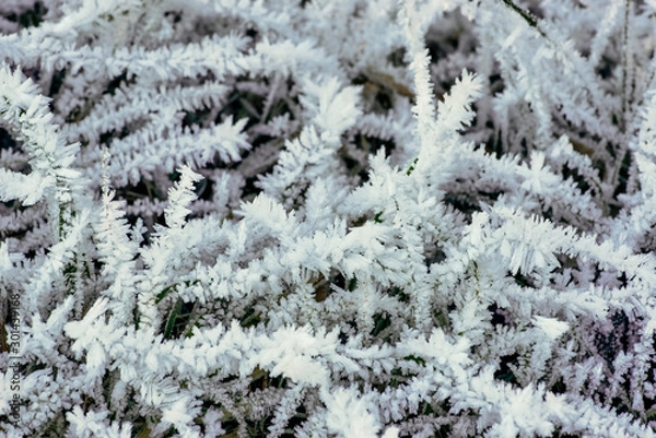 Fototapeta Ice Cristals