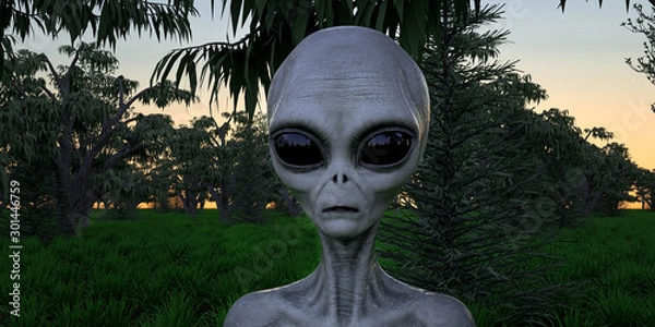 Fototapeta Alien Grey Humanoid Extraterrestrial Being in a forest extremely detailed and realistic high resolution 3d illustration