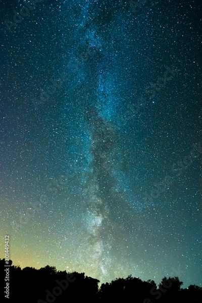 Obraz Galaxy Milky Way over a forest at night