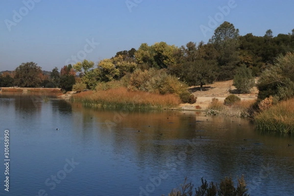 Obraz Fall at Atascadero lake