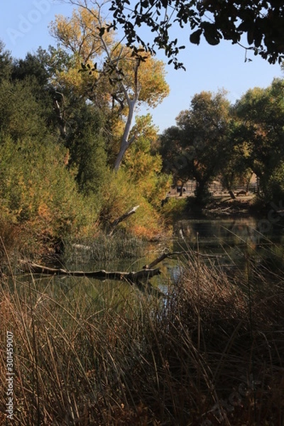 Obraz Fall reflections 