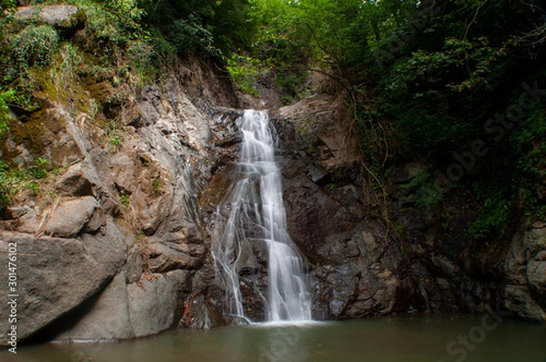 Obraz waterfall in forest