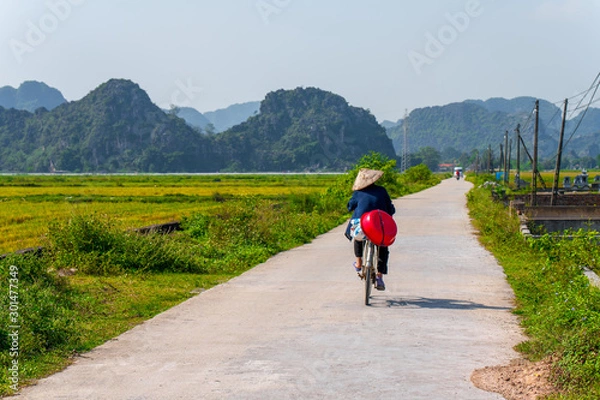 Fototapeta A local Tam Coc resident rides along a small road beside Rice Fields and beautiful mountain landscapes in Ninh Binh, Northern Vietnam - Autumn 2019