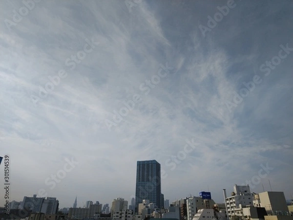 Fototapeta 高田馬場から見る新宿ビル群