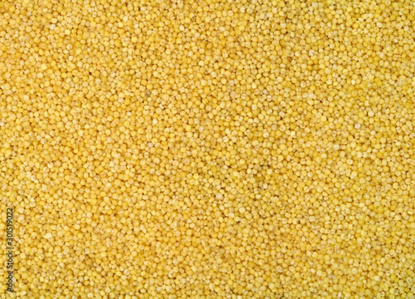 Obraz Millet background