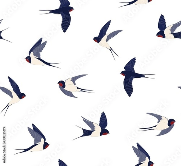 Fototapeta Pattern of flying swallows white background. Many birds in different positions vector seamless background.