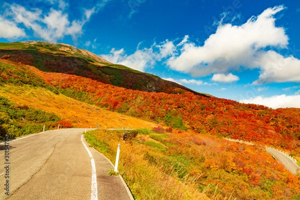 Fototapeta 鳥海山の紅葉