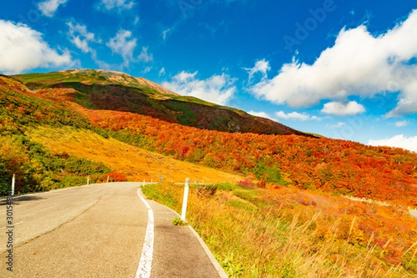 Obraz 鳥海山の紅葉