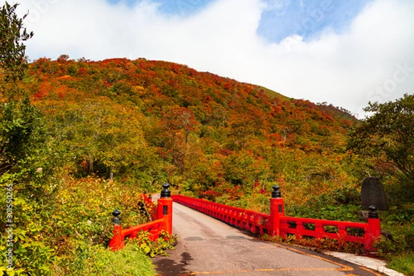 Fototapeta 湯殿山の紅葉