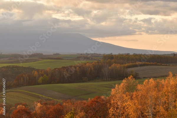 Obraz 美瑛　朝焼けの丘