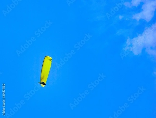 Obraz kite in the sky
