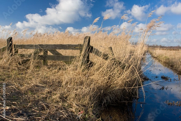 Obraz Tranquil dutch landscape
