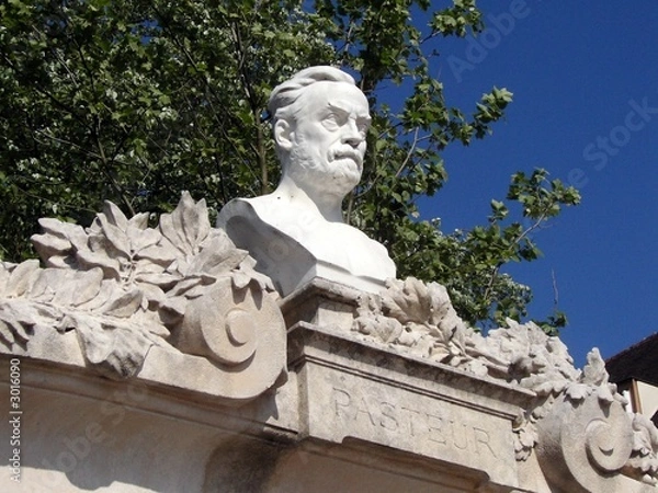 Fototapeta pasteur