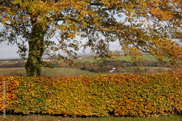 Obraz Autumn Landscape Looking over the countryside in Devon