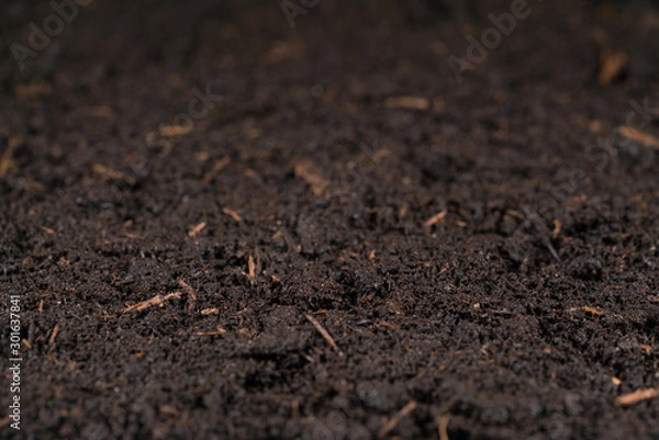 Fototapeta moist soil with shallow depth of field