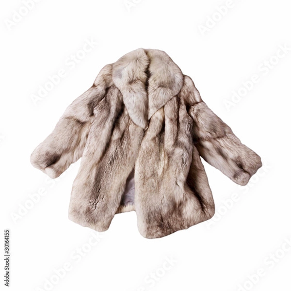 Obraz real fox fur coat
