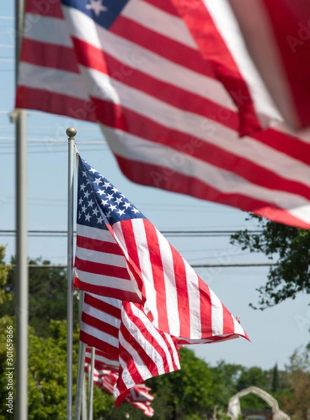 Obraz stars and stripes