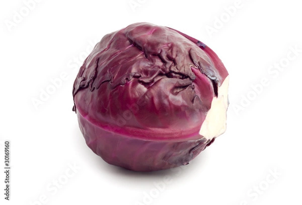 Obraz Kapusta czerwona