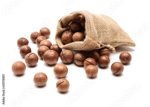Fototapeta Shelled and unshelled macadamia nuts on white background 