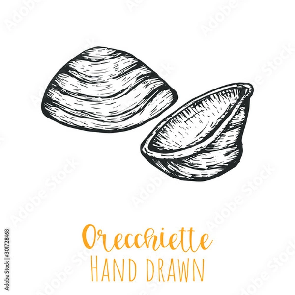 Fototapeta Orecchiette type pasta hand drawn vector illustration, isolated sketched pasta shape.