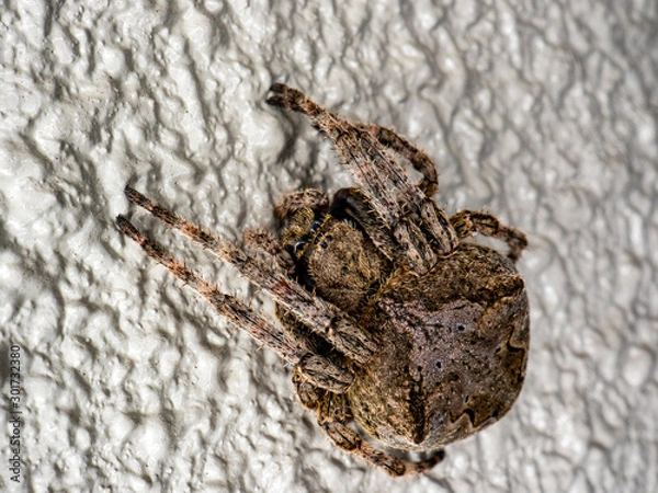 Fototapeta OLYMPUS DIGITAL CAMERA