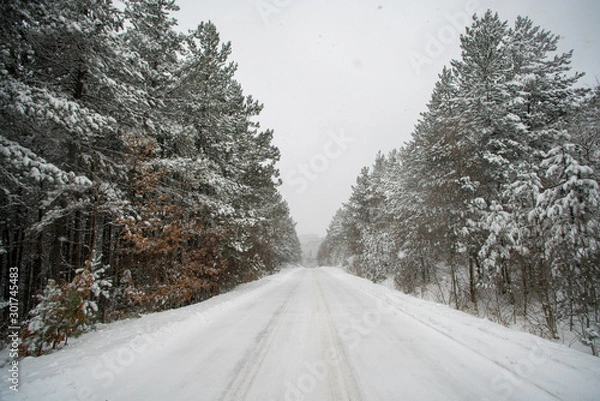Obraz road in winter forest