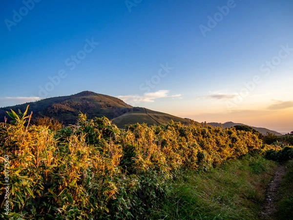 Obraz 【静岡県伊豆半島】伊豆山稜線歩道からの夕景【秋・だるま山周辺】