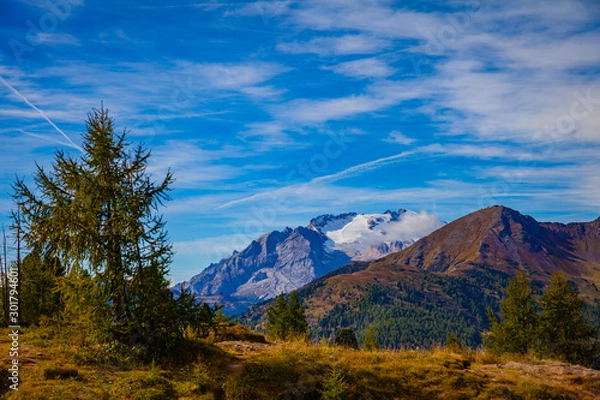 Fototapeta Tree with Mountains with blue sky