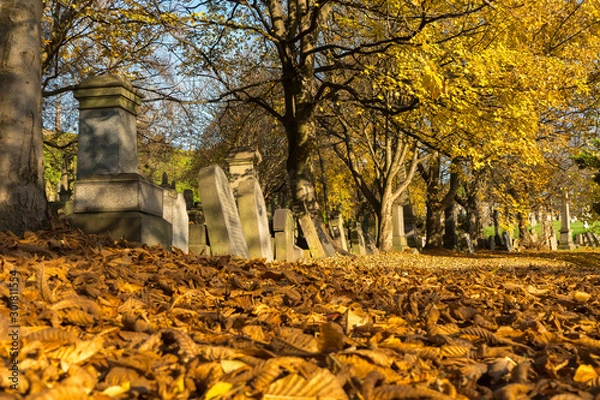 Obraz The sunny autumn day of the old Victorian cemetery Necropolis. Religion and death theme. 