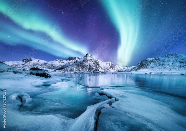 Obraz Aurora Borealis, Lofoty, Norwegia. Zorza polarna, góry i zamarznięty ocean. Zimowy krajobraz w porze nocnej. Norwegia - zdjęcie
