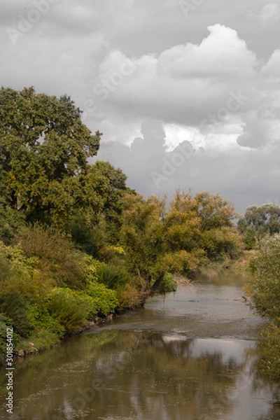 Fototapeta Jesień nad rzeką