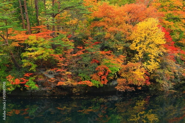 Fototapeta 岩手県西和賀町　紅葉の錦秋湖
