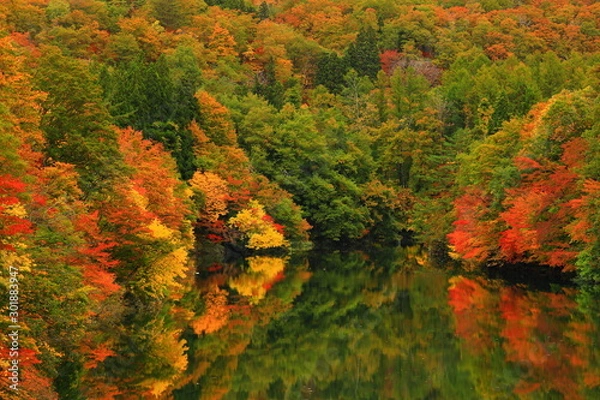 Fototapeta 岩手県西和賀町　紅葉の錦秋湖