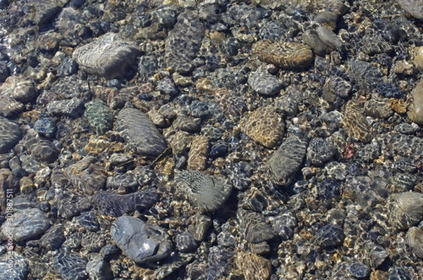 Fototapeta きれいな水の浅瀬