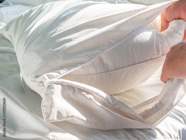 Obraz Using zippered dust mites pillow covers is the easiest and fastest way to protect your allergy.