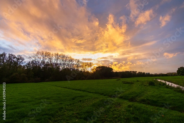 Obraz sunset over the field