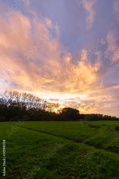 Obraz sunset over field
